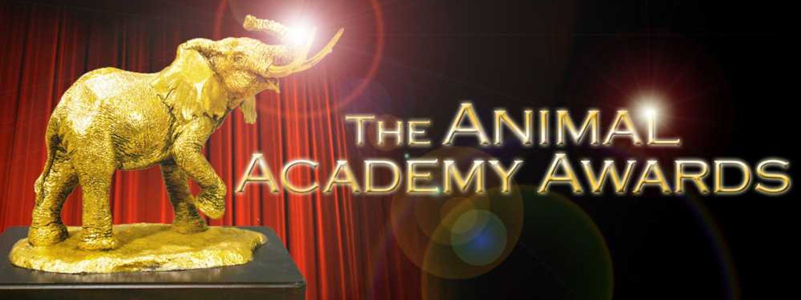 The (other) Academy Awards