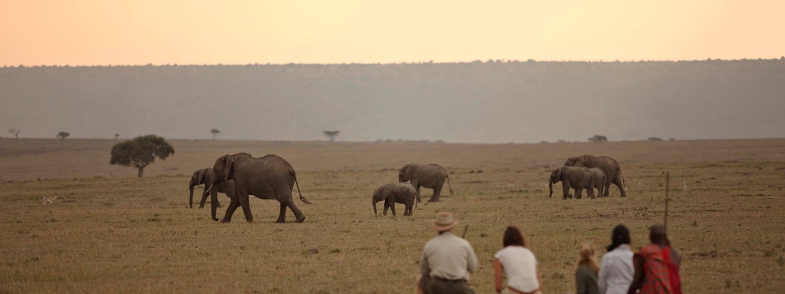 The Role of AI in Today's Africa Traveller