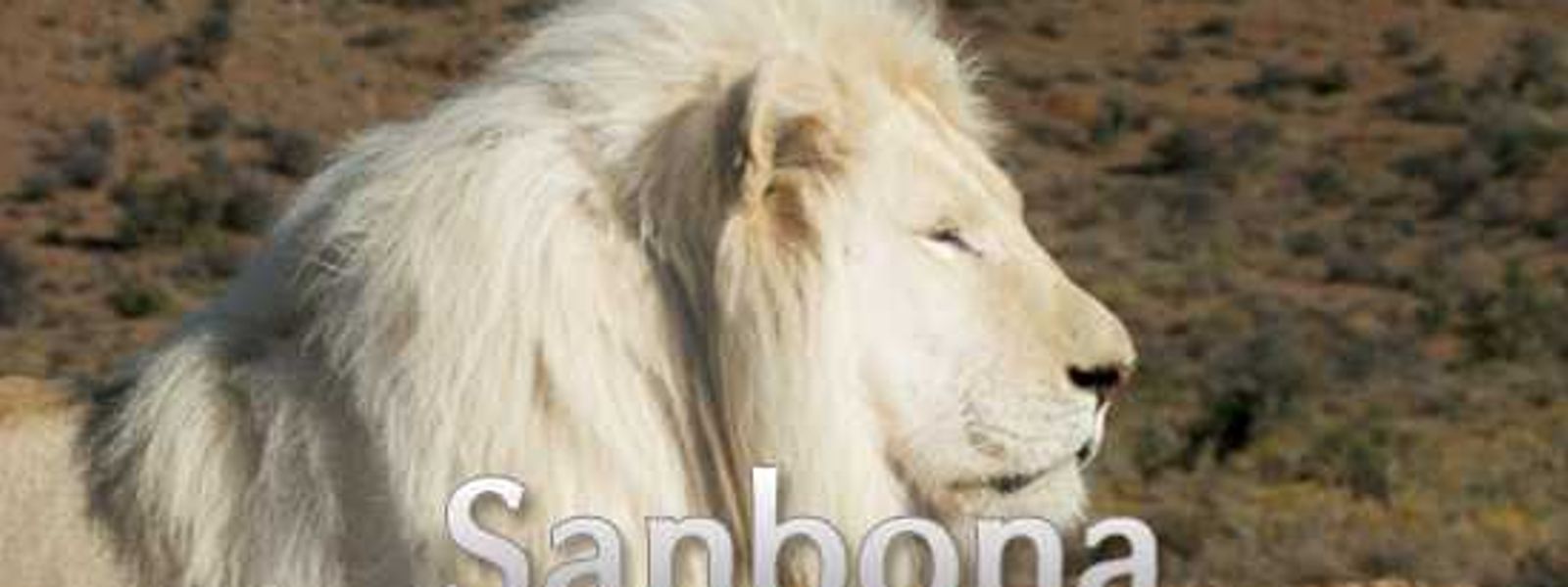 Niki visits Sanbona Wildlife Reserve in the Klein Karoo