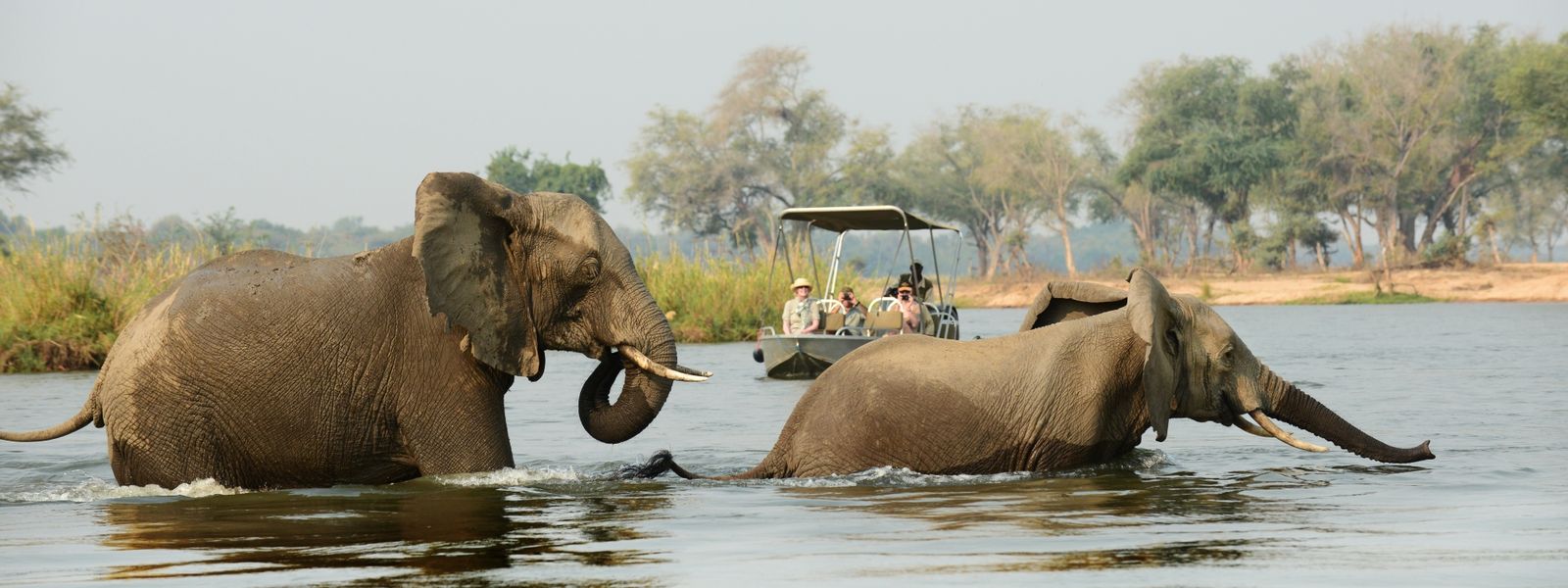 Zambezi River Experiences