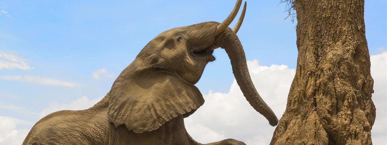 Where to Stay for a Family Safari in Mana Pools