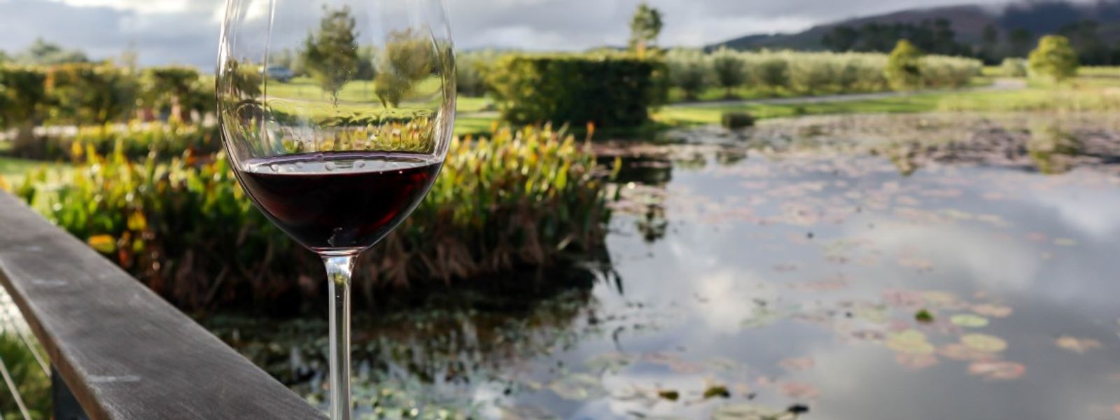 Rota do Vinho Plett: A jóia escondida