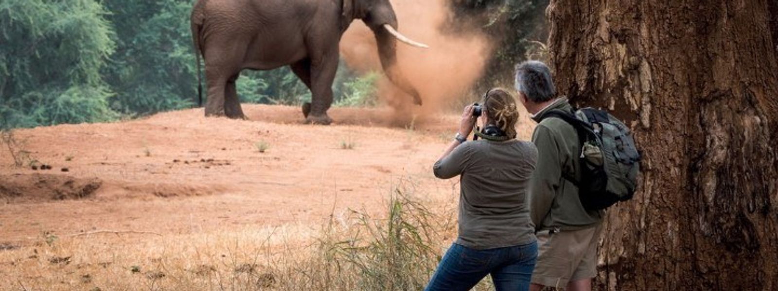 El tiempo en el Parque Nacional Kruger, mes a mes