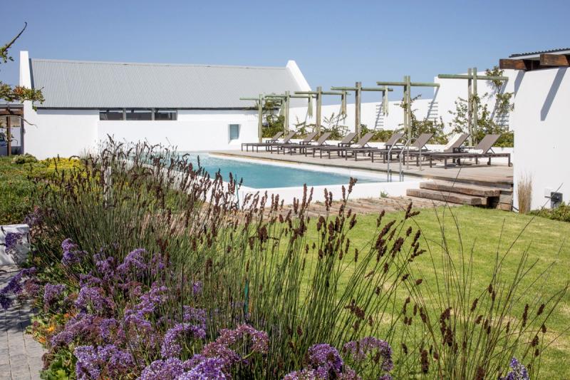 View of the garden and swimming pool of the Strandloper hotel in Paternoster
