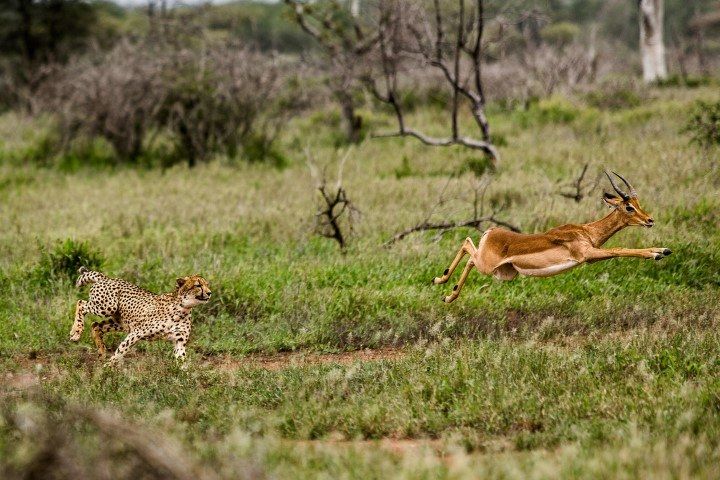 3 maravillas del sur de África