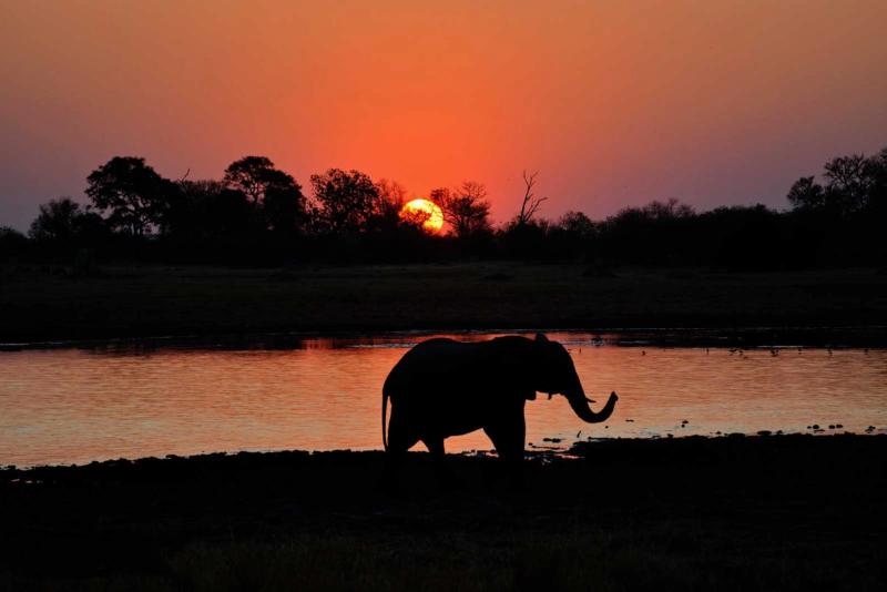 Atardecer en el delta del Okavango, Botsuana
