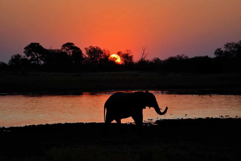 Atardecer en el delta del Okavango, Botsuana
