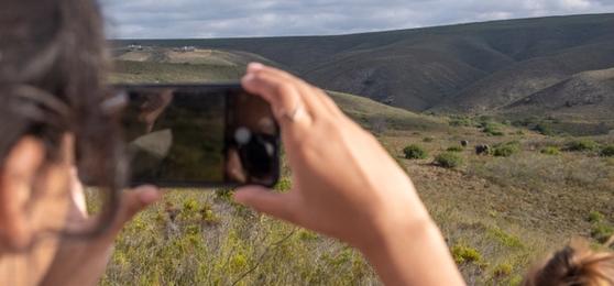 Les Hôtels et Lodges les Plus Instagrammables d'Afrique
