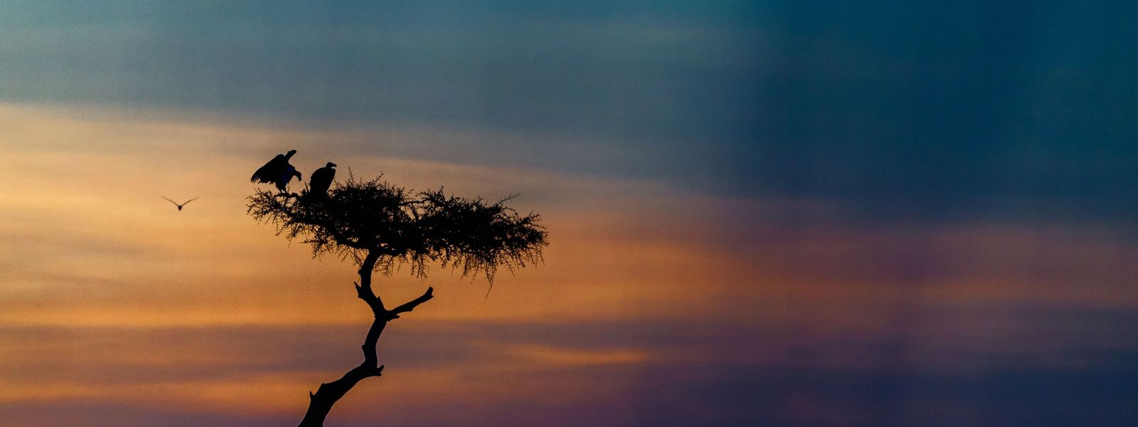 Top Photography Tips from Thorsten Hanewald