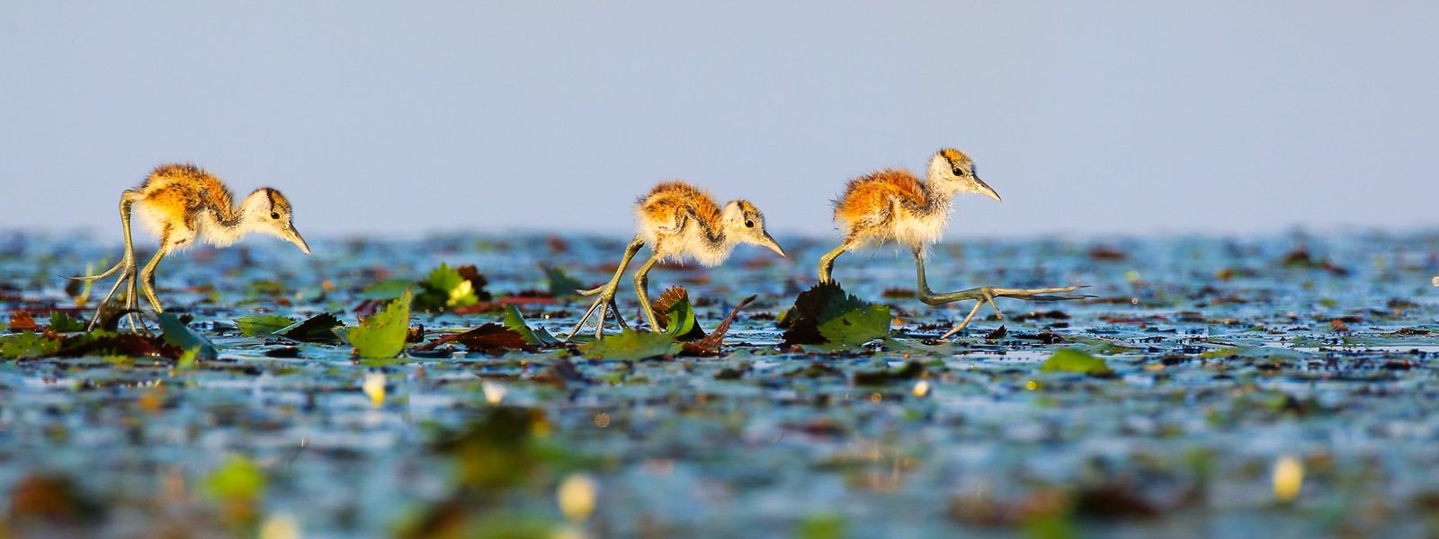 Top Photography Tips from John Mullineux
