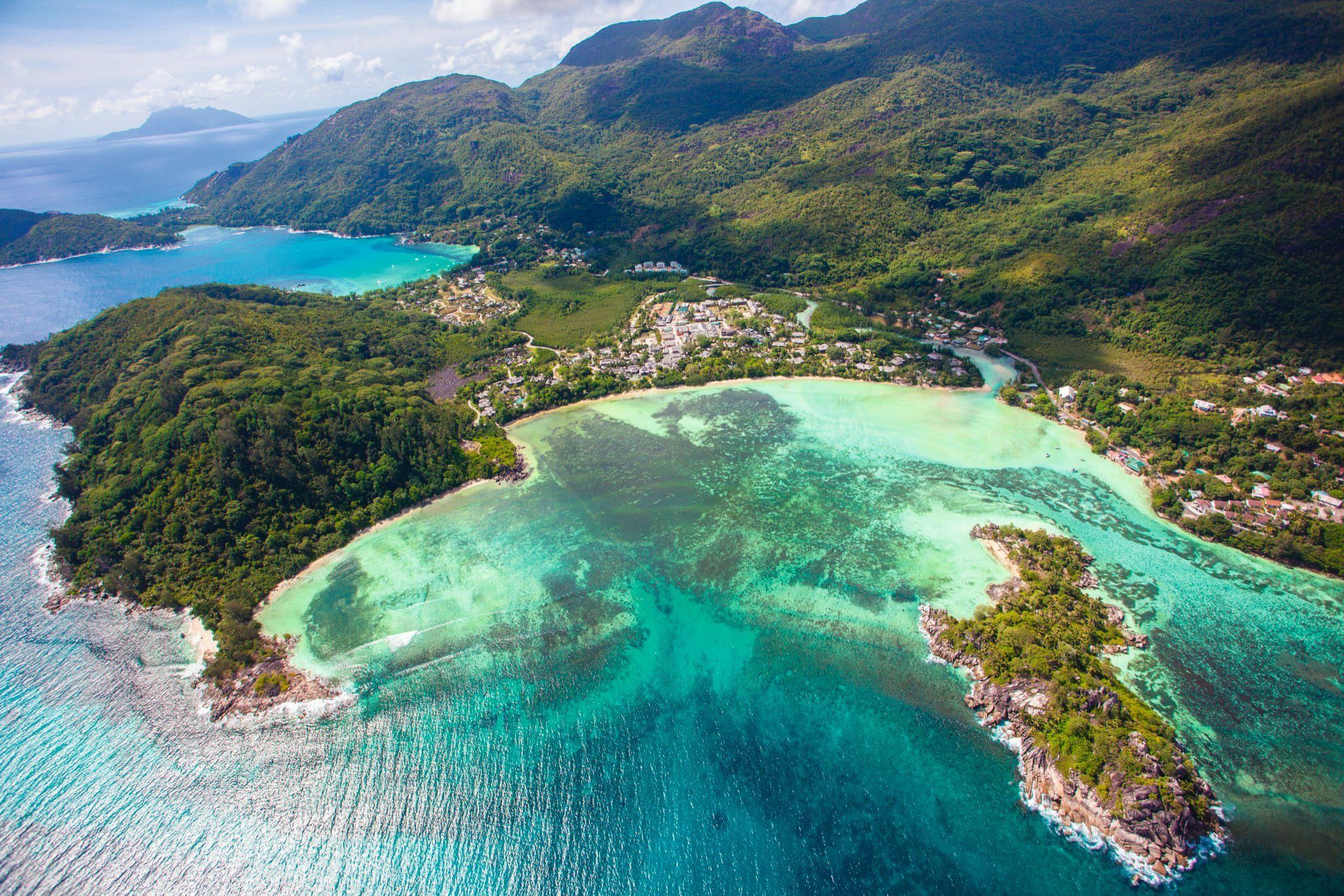 Mesmerizing Seychelles Wildlife