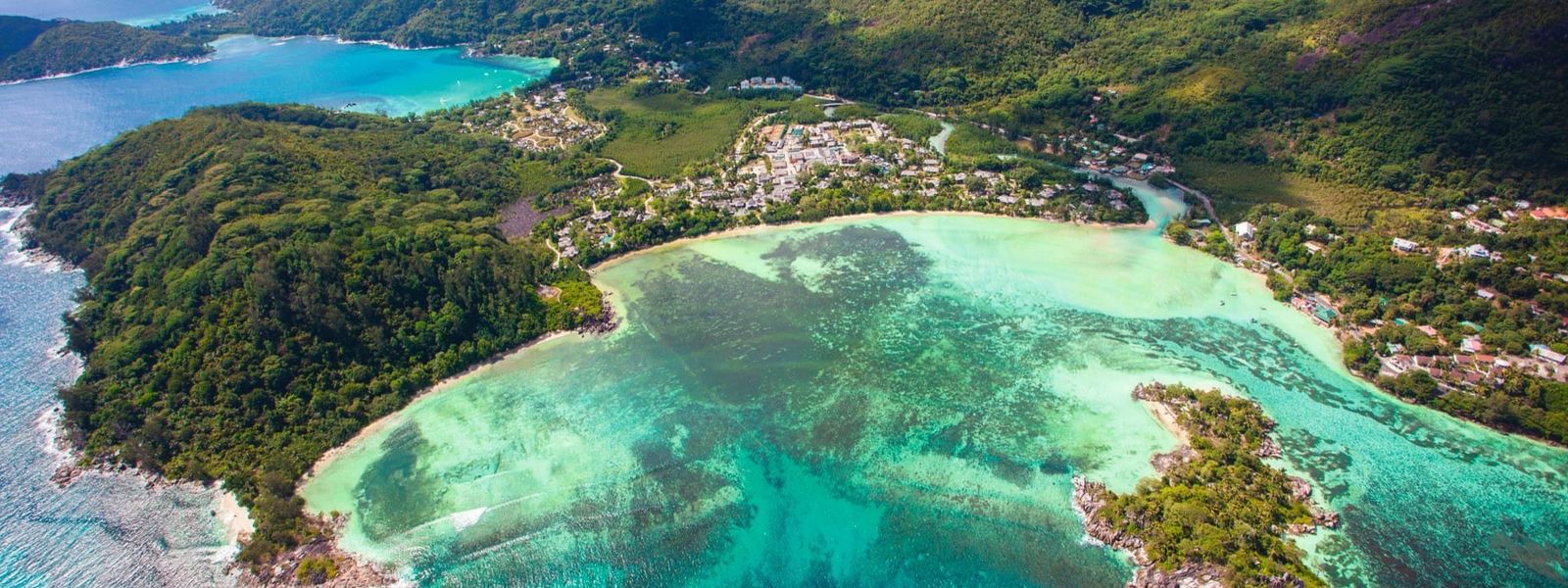 Mesmerizing Seychelles Wildlife