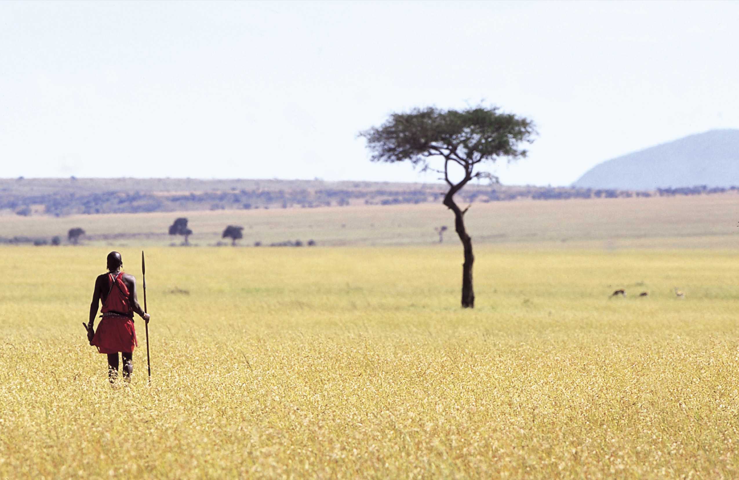 Die „Große Migration" - Ein einzigartiges Kenia-Abenteuer