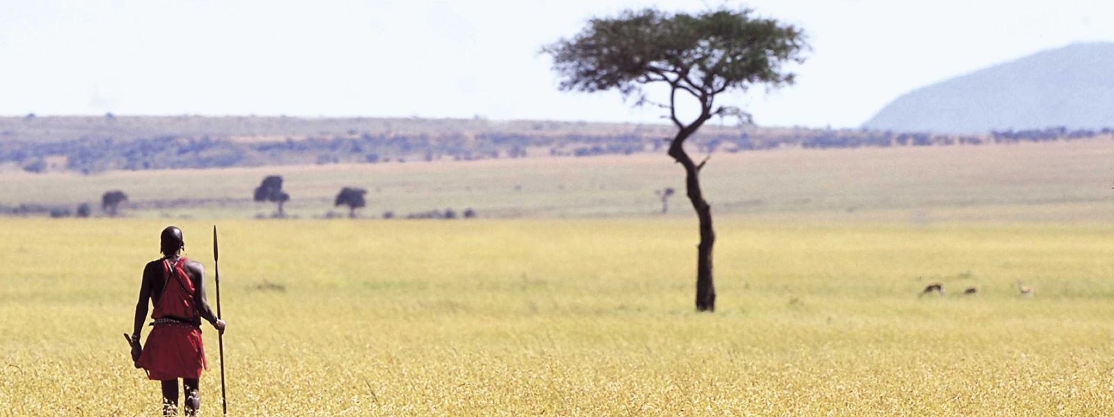 Die „Große Migration" - Ein einzigartiges Kenia-Abenteuer