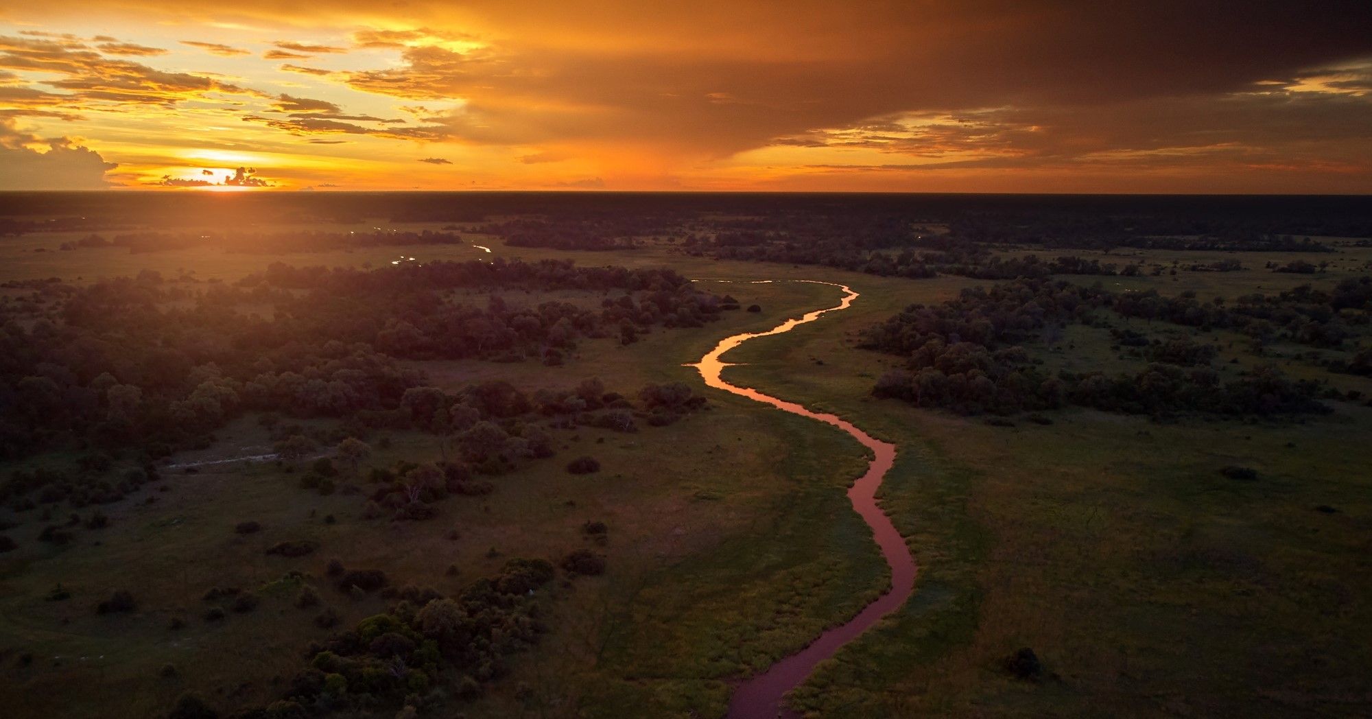 Why Our Travel Expert Bianca Loves a Botswana Safari