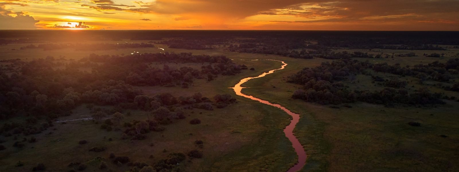 Why Our Travel Expert Bianca Loves a Botswana Safari