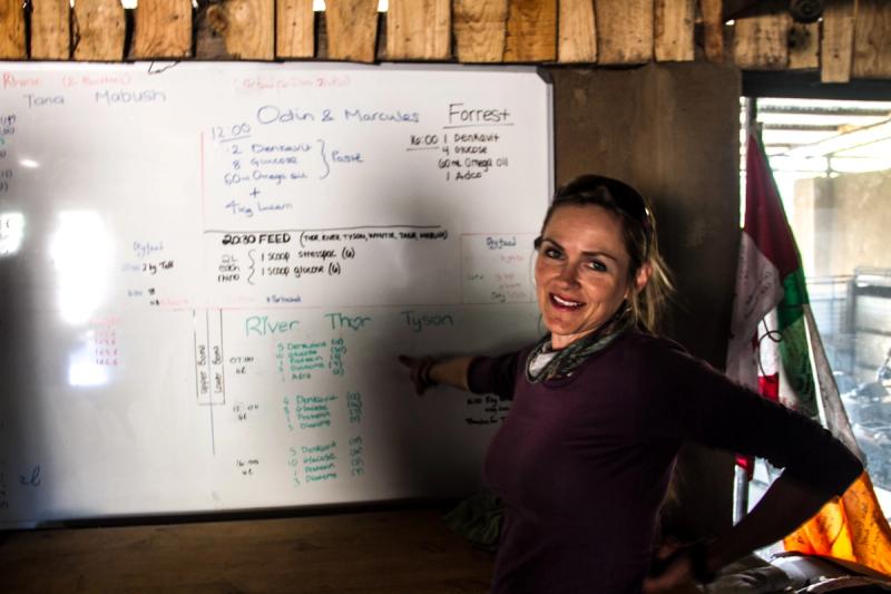 Petronel with a rhino schedule
