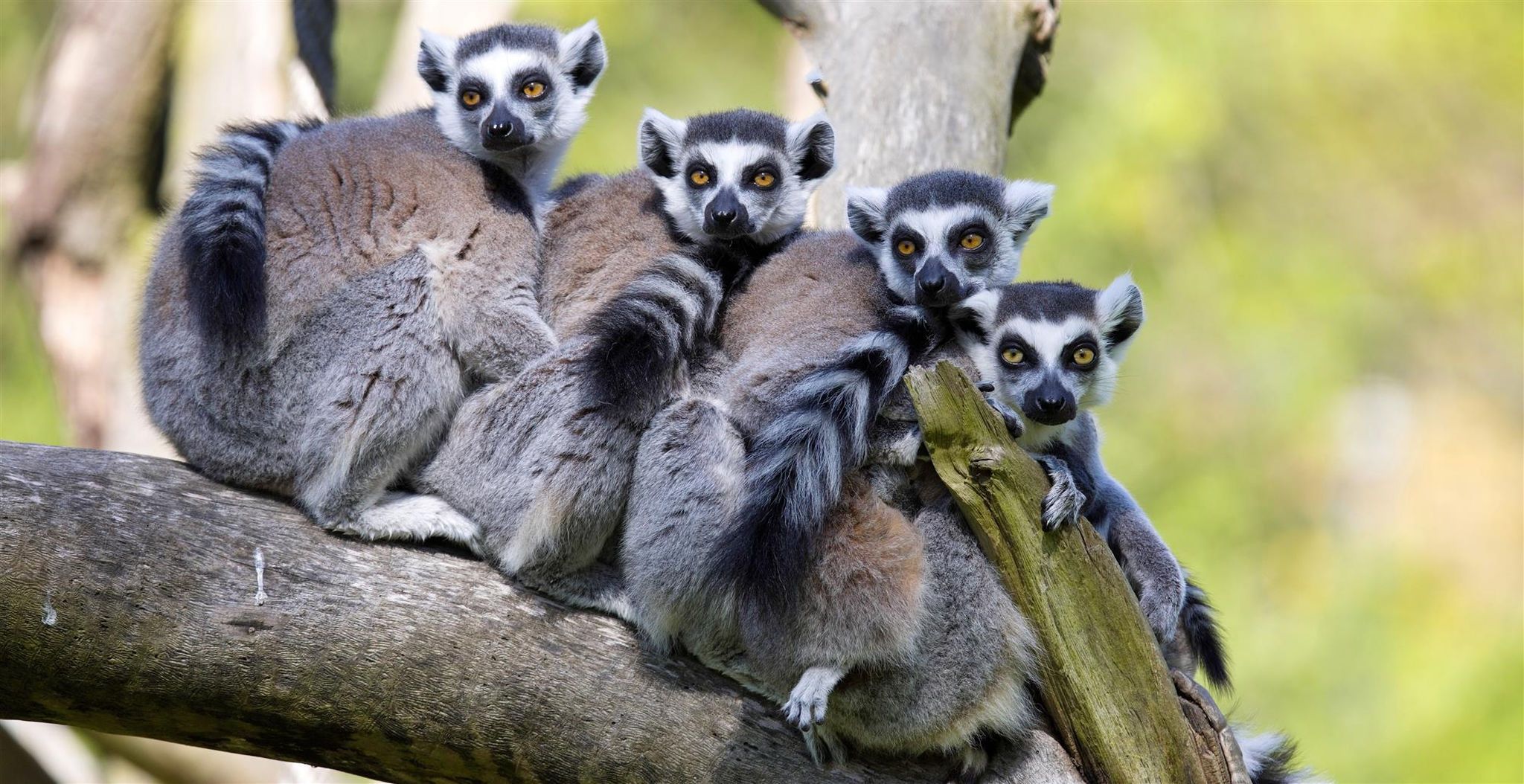 Notre Top 9 des activités à Madagascar