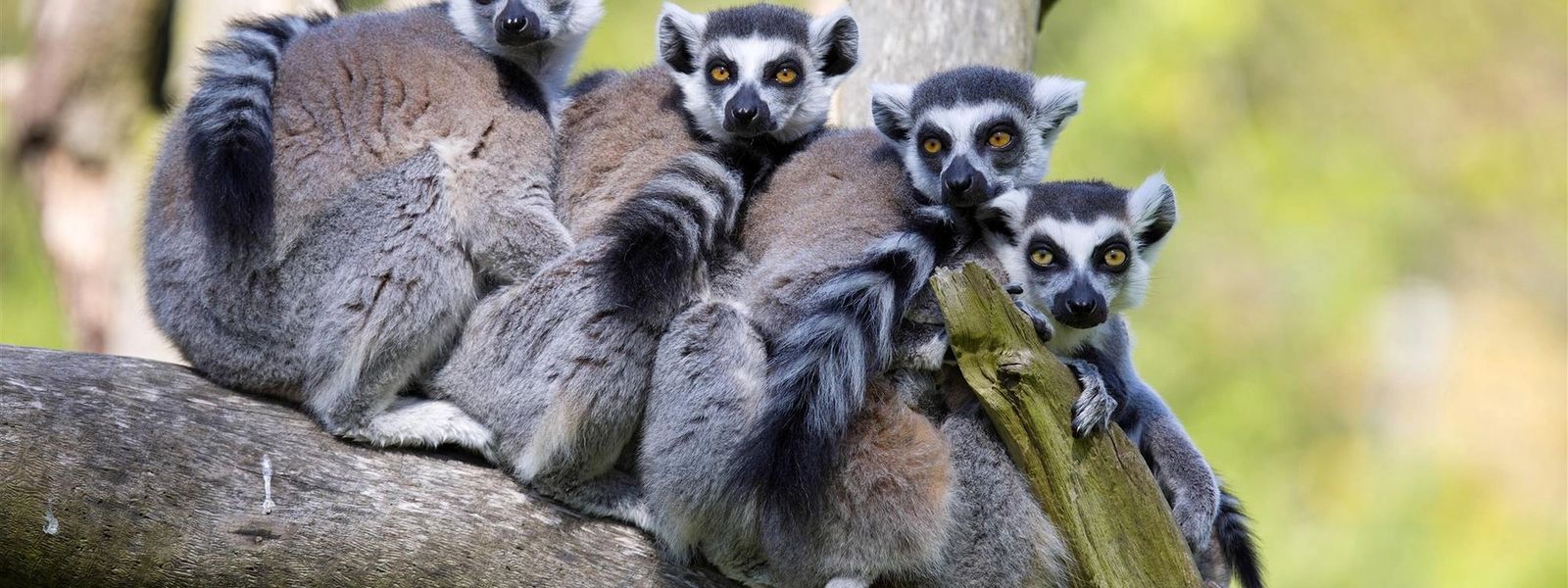 Notre Top 9 des activités à Madagascar