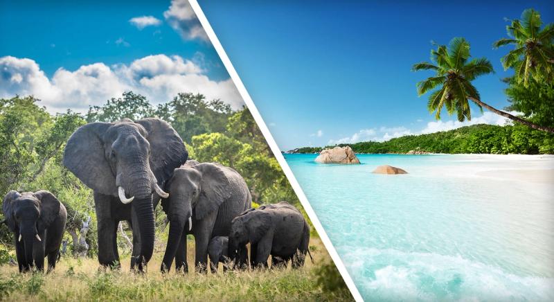 Unas vacaciones en una isla y un safari son el mejor tipo de escapada
