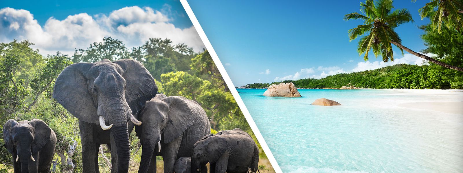 Best Bush and Beach Destinations in Africa for The Ultimate Holiday