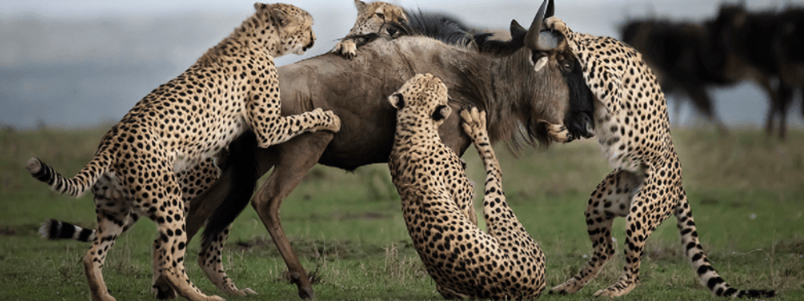 Africa's Photographer of the Year 2017 Winner: In Conversation with Clement Kiragu