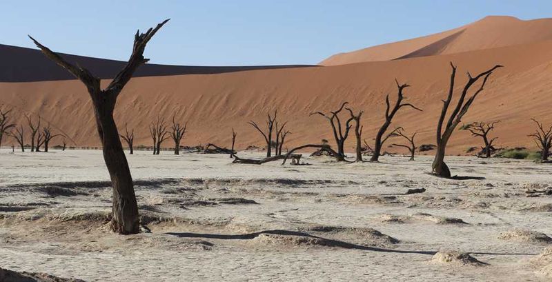 Dead Vlei