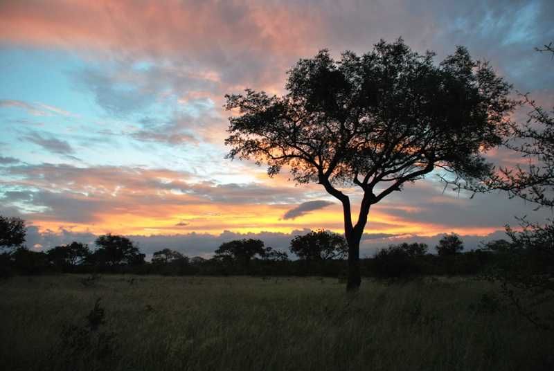 The view on the way to Khaya Ndlovu Manor House