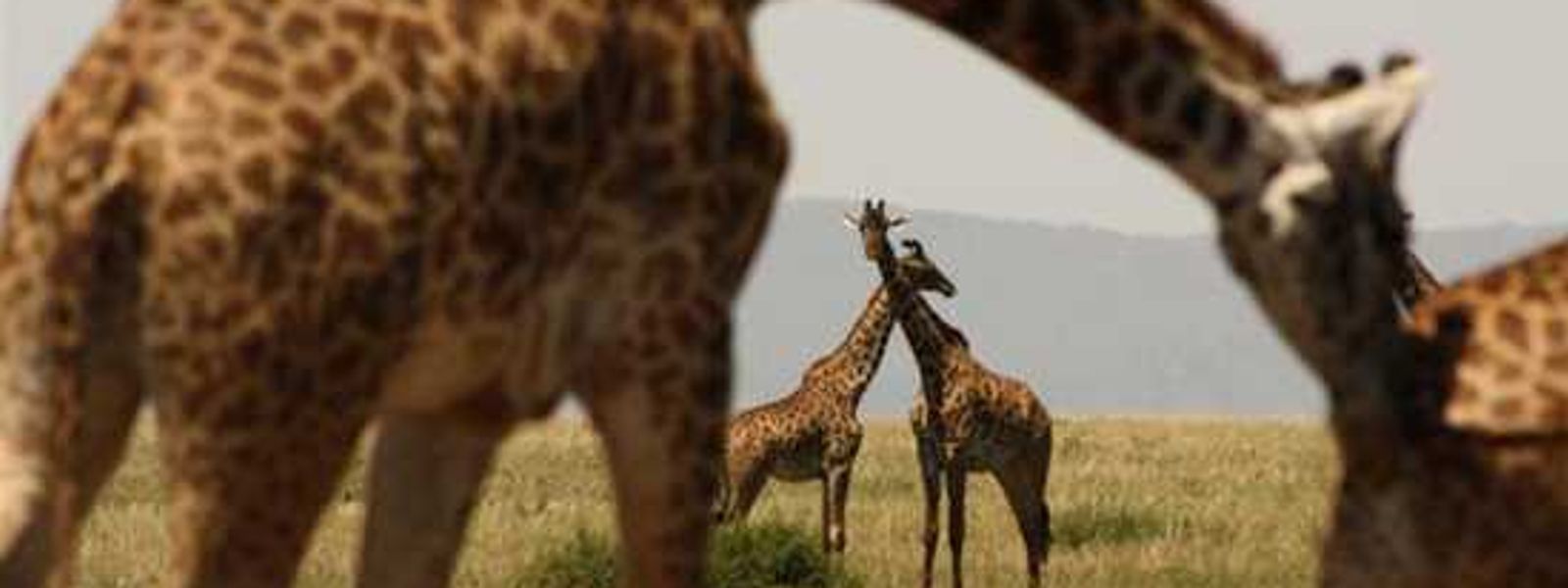 Exploring East Africa with Singita – Part 3