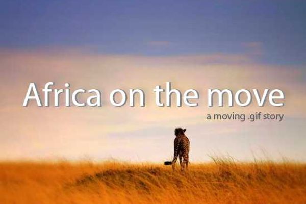 African Animals - A Moving Story