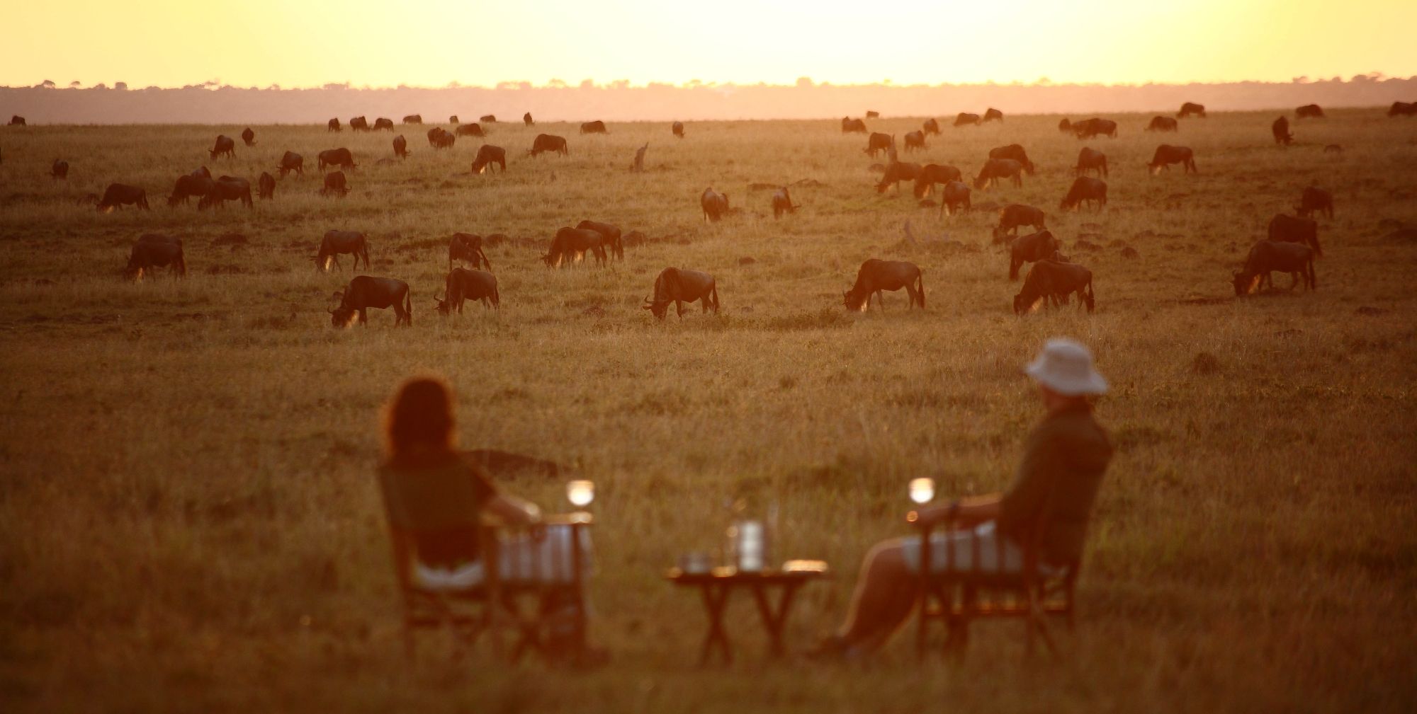Nuestras preguntas más frecuentes sobre Safaris