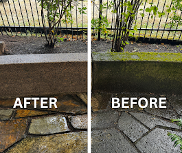 Pressure Wash a Driveway vs DIY — Why Eugene Homeowners Get Better Results with Soft Washing