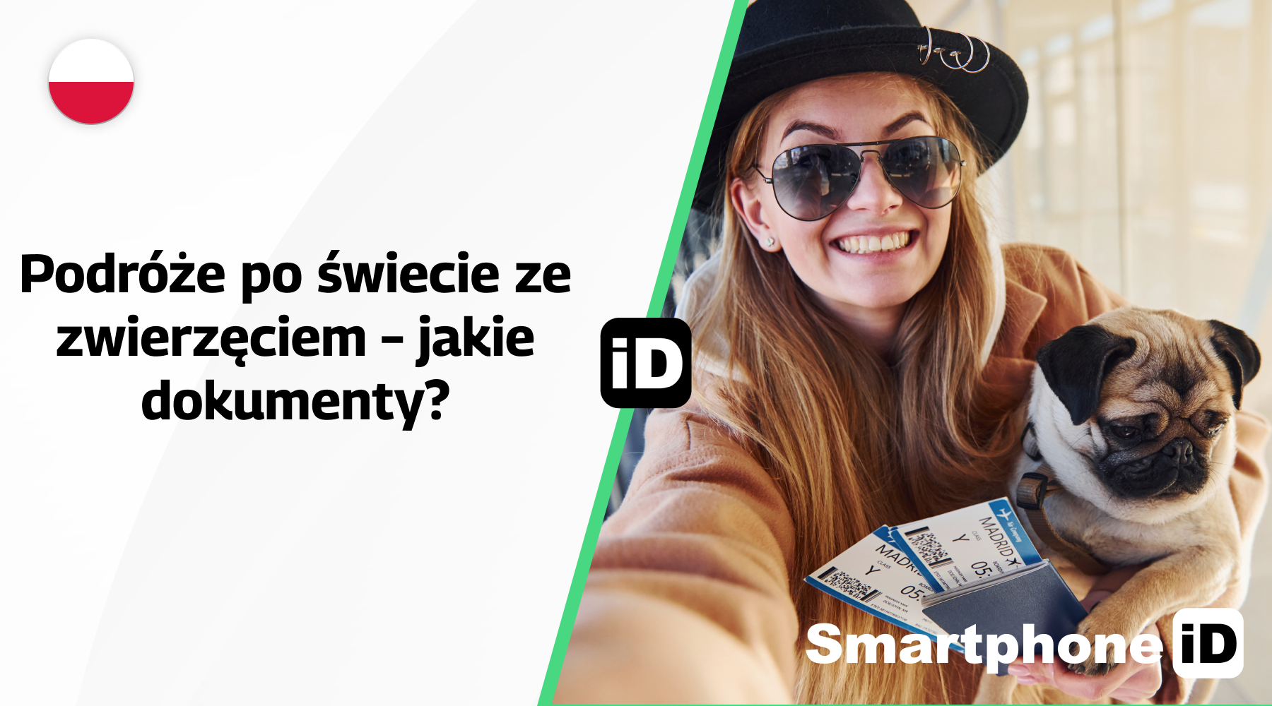 Podróże po świecie ze zwierzęciem – jakie dokumenty Podróże po świecie ze zwierzęciem – jakie dokumenty