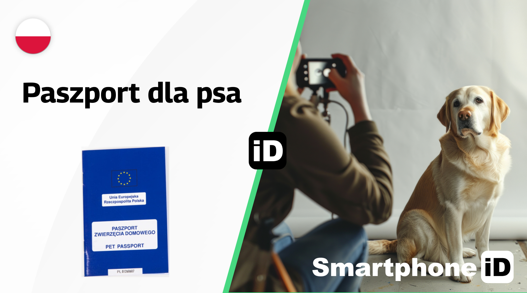 Paszport dla psa Paszport dla psa