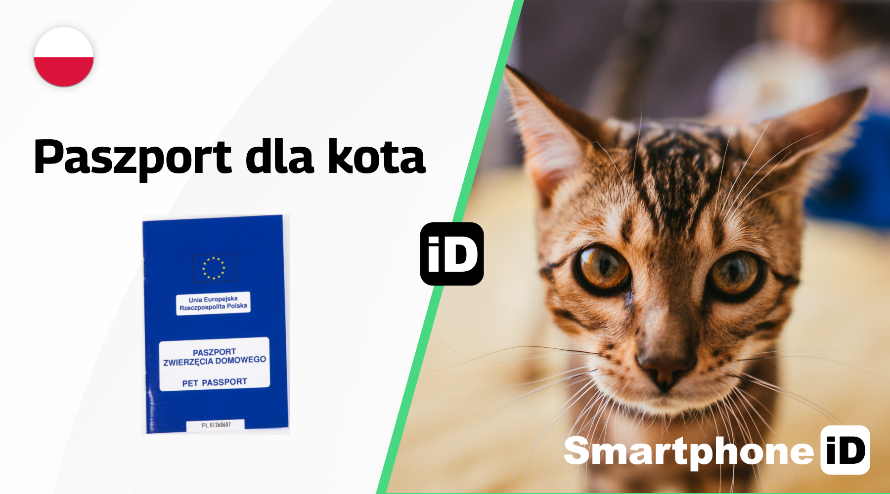 Paszport dla kota Paszport dla kota