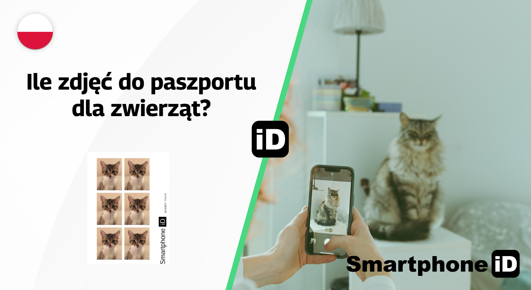 Ile zdjęć do paszportu dla zwierząt Ile zdjęć do paszportu dla zwierząt