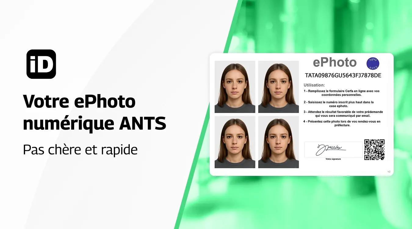 e photo ants
