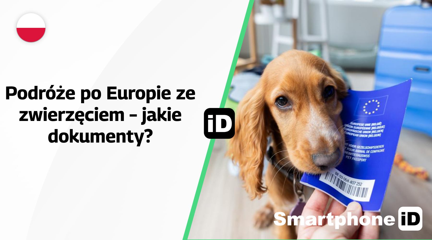 Podróże po Europie ze zwierzęciem – jakie dokumenty Podróże po Europie ze zwierzęciem – jakie dokumenty