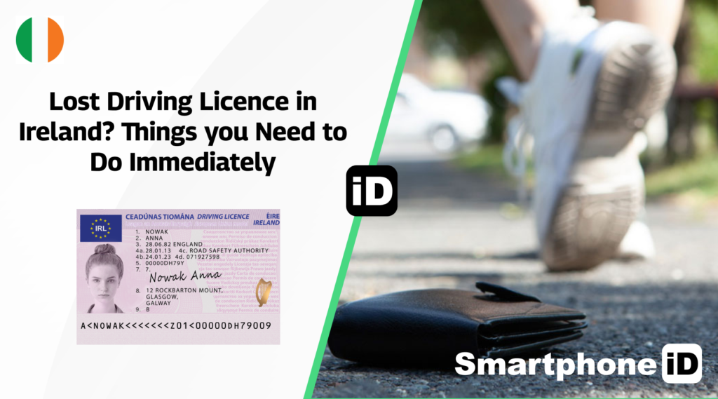 Lost Driving Licence 1024x569