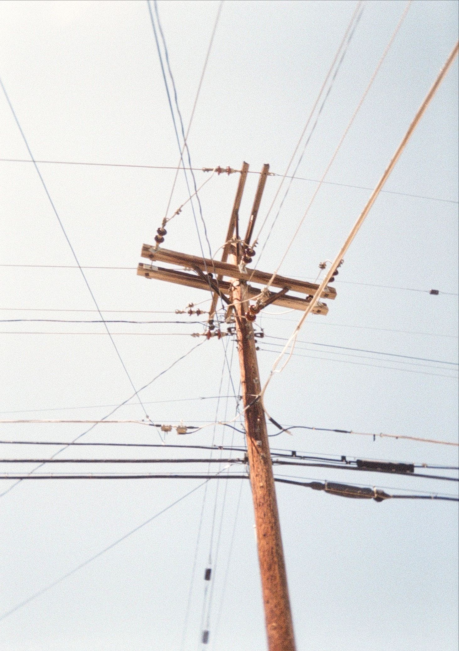 An interconnected grid of power lines all passing through the telephone pole.