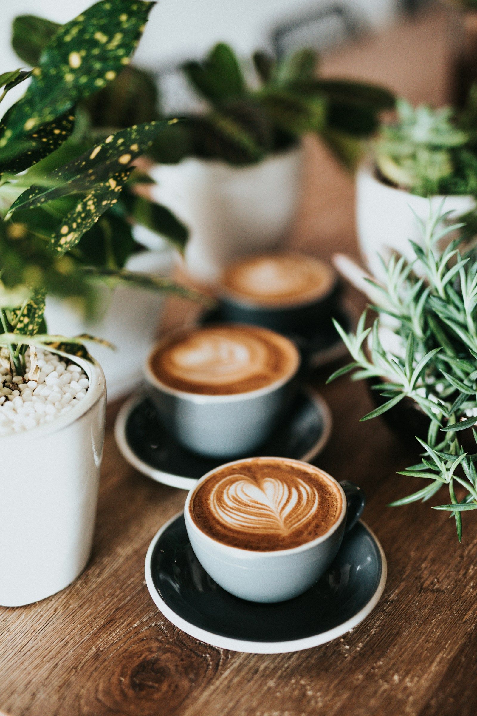 A morning guide to coffee in El Poblado