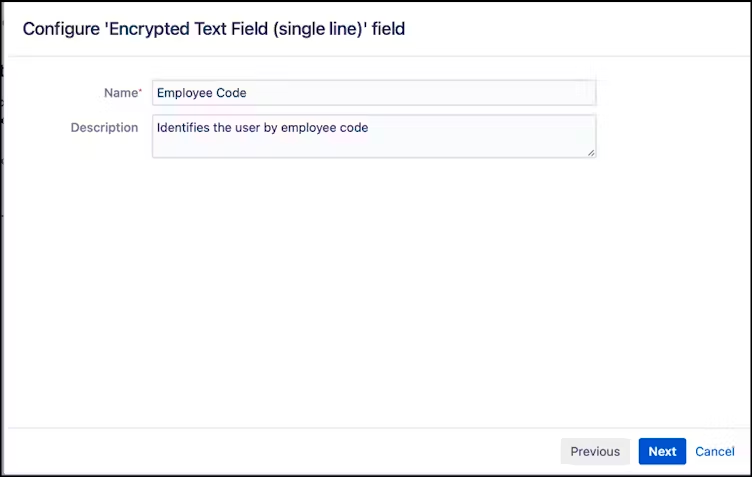 naming your custom field