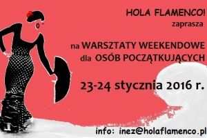 Plakat: Warsztaty dla osób początkujących 23-24 stycznia 2016 r.