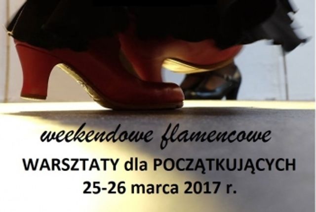 Plakat: Warsztaty weekendowe dla początkujących 25-26 marca 2017 r.