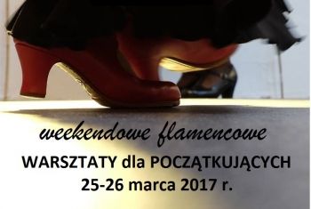 Plakat: Warsztaty weekendowe dla początkujących 25-26 marca 2017 r.