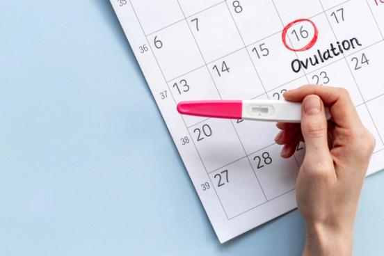 Eggløsning Eggløsning