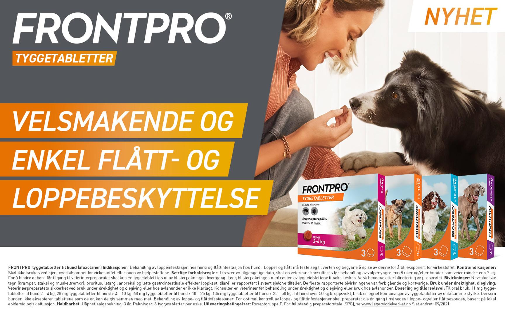 En kvinne gir en border collie en tyggetablett. Hunden snuser nysgjerrig.