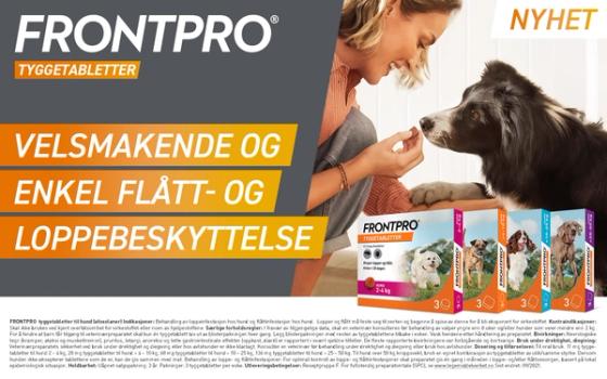 Reseptfrie tyggetabletter mot flått og lopper til hunden din Reseptfrie tyggetabletter mot flått og lopper til hunden din