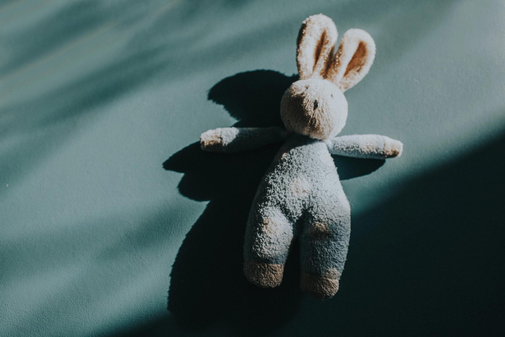 Kaninbamse med skygge