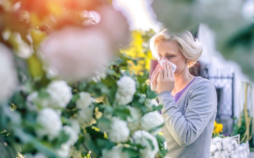 Derfor blir du forkjølet om sommeren